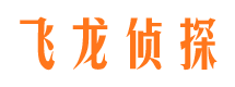 原阳市私家侦探